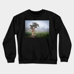 Elf Wood Crewneck Sweatshirt